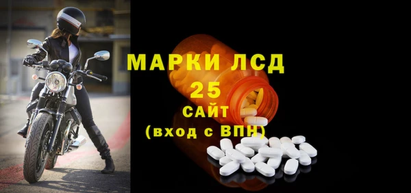 прущие крисы Новозыбков